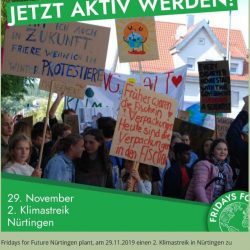 Klimastreiks/Klimaproteste regional - Esslingen, Nürtingen, Stuttgart