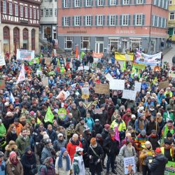 Agrarwende anpacken! Wir haben es satt! Kundgebung und Demo in Tübingen