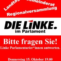 Die LINKE im Parlament