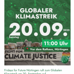 Klimademo in Nürtingen